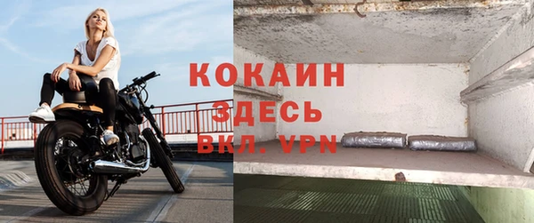 гидра Алексин